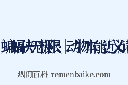 蝙蝠侠无极限：动物本能近义词是什么意思的图片